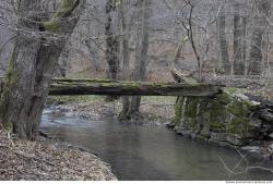 Background Forests